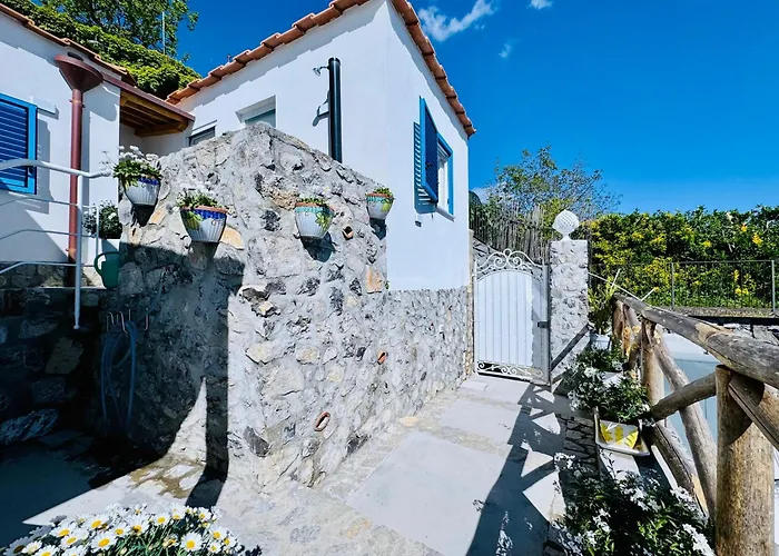 Yourhome - White House Gio *